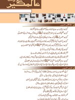 Daily Alamgir Post Newspaper Pakistan