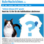 Ruhr Nachrichten German Newspaper
