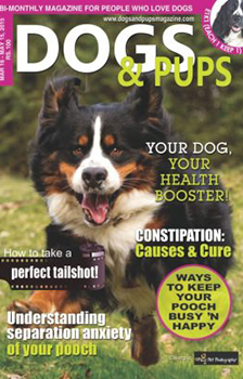 Dogs & Pups English Magazine
