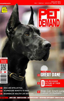 Pet Demand English Magazine