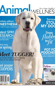 Animal Wellness English Magazine