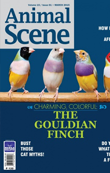 Animal Scene English Magazine