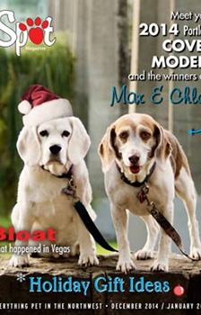 Spot English Magazine