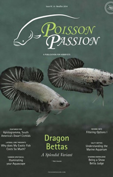 Poisson Passion English Magazine