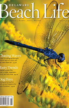 Delaware Beach Life English Magazine