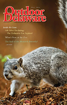 Outdoor Delaware English Magazine